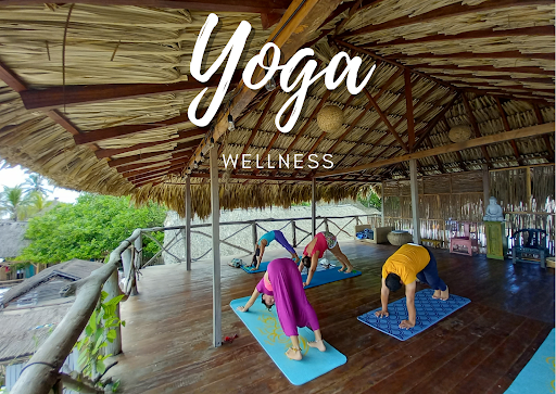 Escuela Colombiana de Yoga Wellness