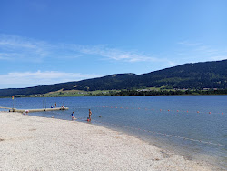 Plage du Lac des Rousses'in fotoğrafı çok temiz temizlik seviyesi ile