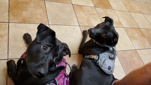 Pet Supply Store «PetSmart», reviews and photos, 142 Woodstock Square Ave, Woodstock, GA 30189, USA