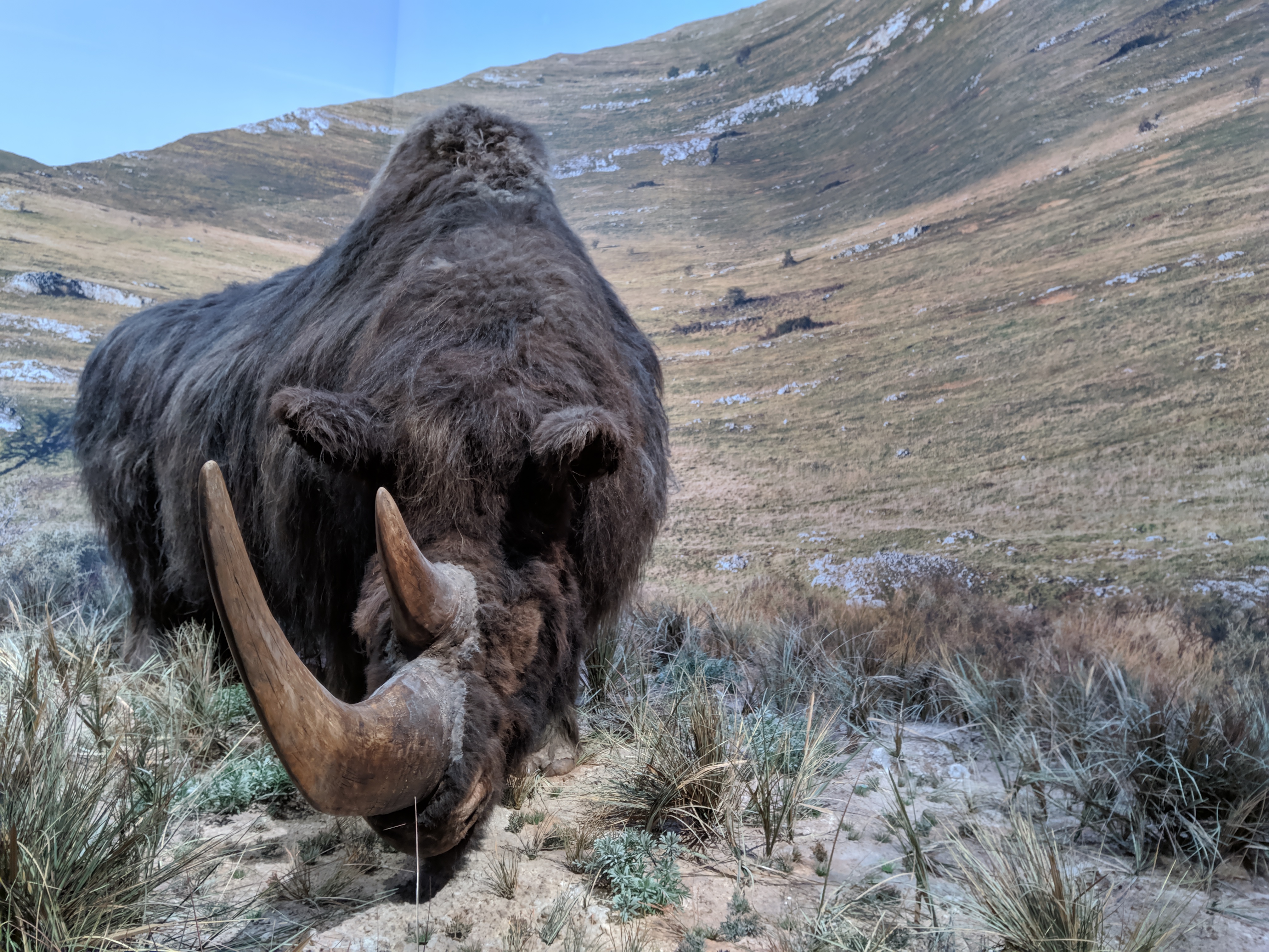 Photo n° 3 de l'avis de Yann.a fait le 20/05/2019 à 14:10