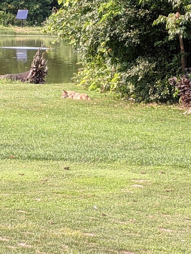 Golf Course «Sydney R. Marovitz Golf Course», reviews and photos, 3600 N Recreation Dr, Chicago, IL 60613, USA