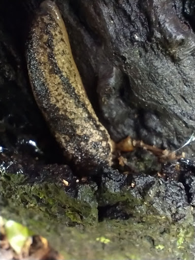 Golf Course «California Golf Course», reviews and photos, 5924 Kellogg Ave, Cincinnati, OH 45228, USA