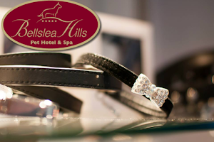 Bellslea Hills Pet Hotel & Spa image
