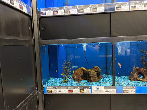Pet Supply Store «Petco Animal Supplies», reviews and photos, 3464 Towne Blvd, Franklin, OH 45005, USA