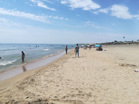 Marseillan beach