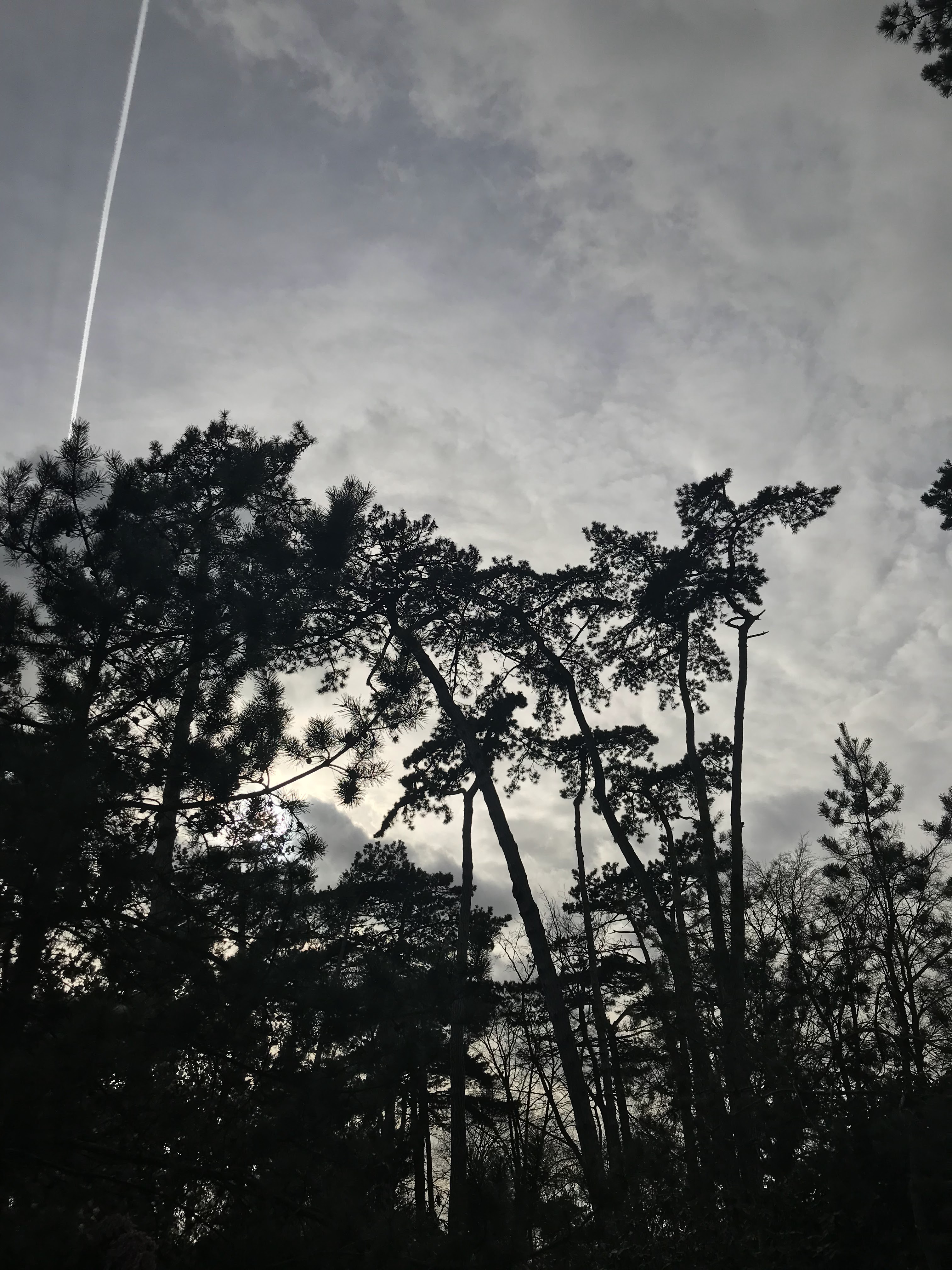 Photo n° 8 de l'avis de mihnea.n fait le 29/03/2019 à 17:57