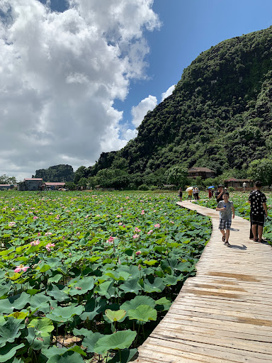 Top 20 cửa hàng altech Huyện Hoa Lư Ninh Bình 2022