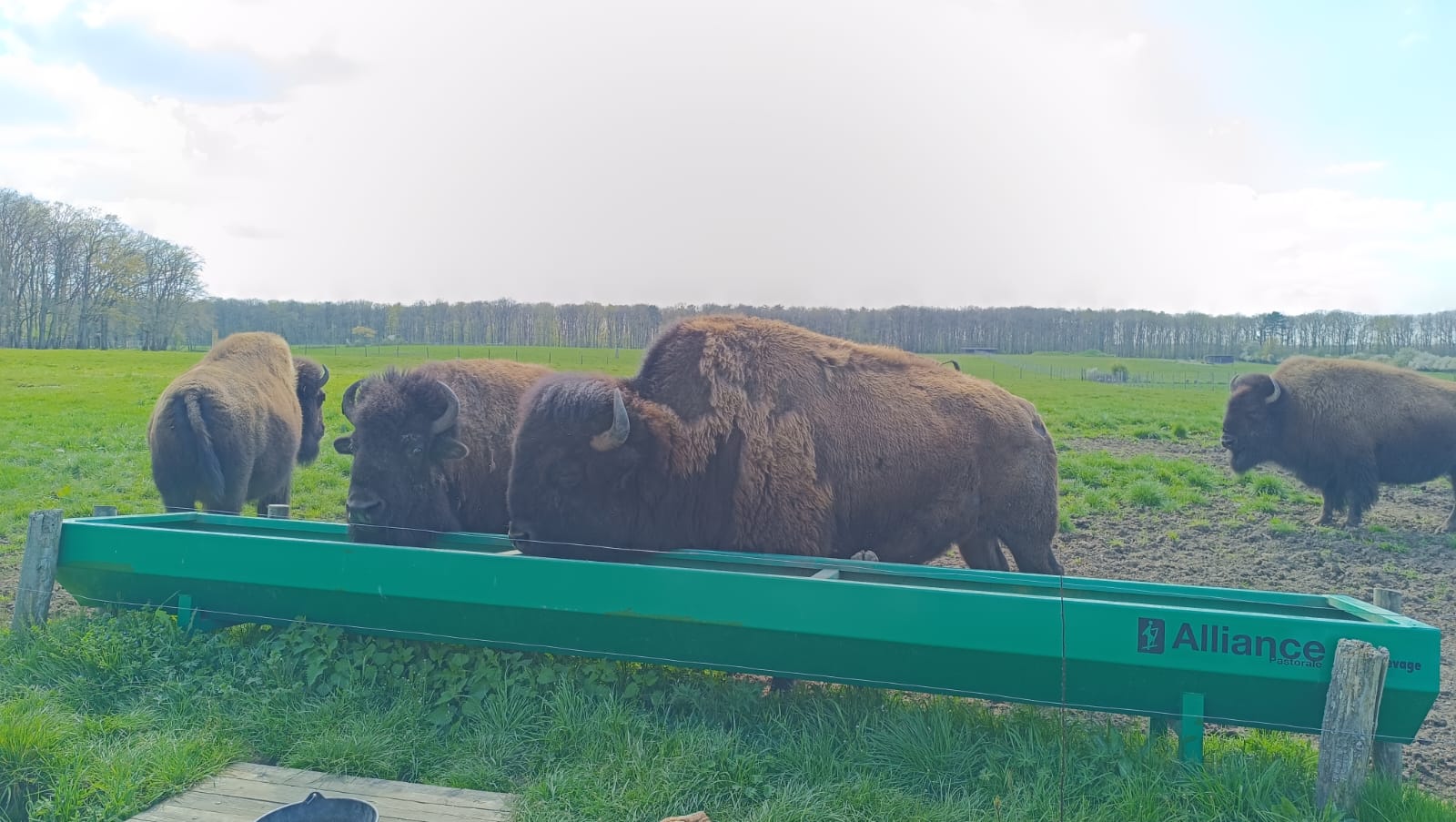 Photo n° 1 de l'avis de Vero.e fait le 11/04/2023 à 11:18