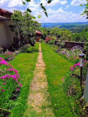 Gite Les Rosiers - Roquefort - Aveyron à Roquefort-sur-Soulzon
