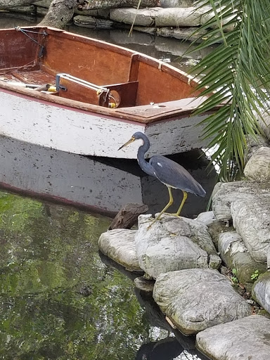 Zoo «Croc Encounters», reviews and photos, 8703 Bowles Rd, Tampa, FL 33637, USA