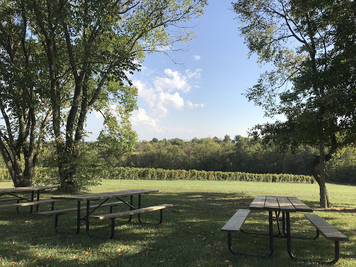 Vineyard «Noboleis Vineyards», reviews and photos, 100 Hemsath Rd, Augusta, MO 63332, USA