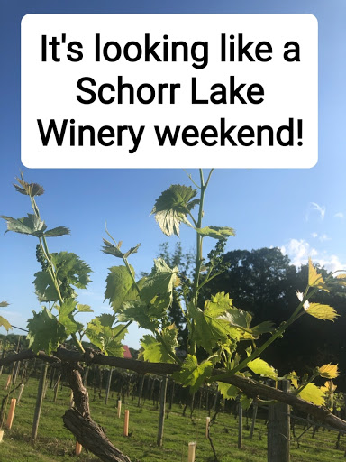 Winery «Schorr Lake Vineyards», reviews and photos, 1032 S Library St, Waterloo, IL 62298, USA