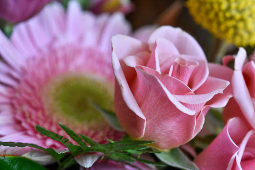 Florist «Purple Poppy Florist», reviews and photos, 2010 S Main St, Wake Forest, NC 27587, USA