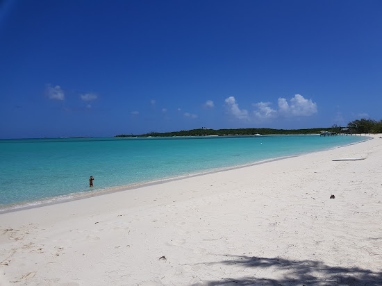 Sandy Palms
