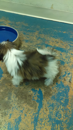 Pet Supply Store «Pet Ranch», reviews and photos, 3823 E 120th Ave, Denver, CO 80233, USA