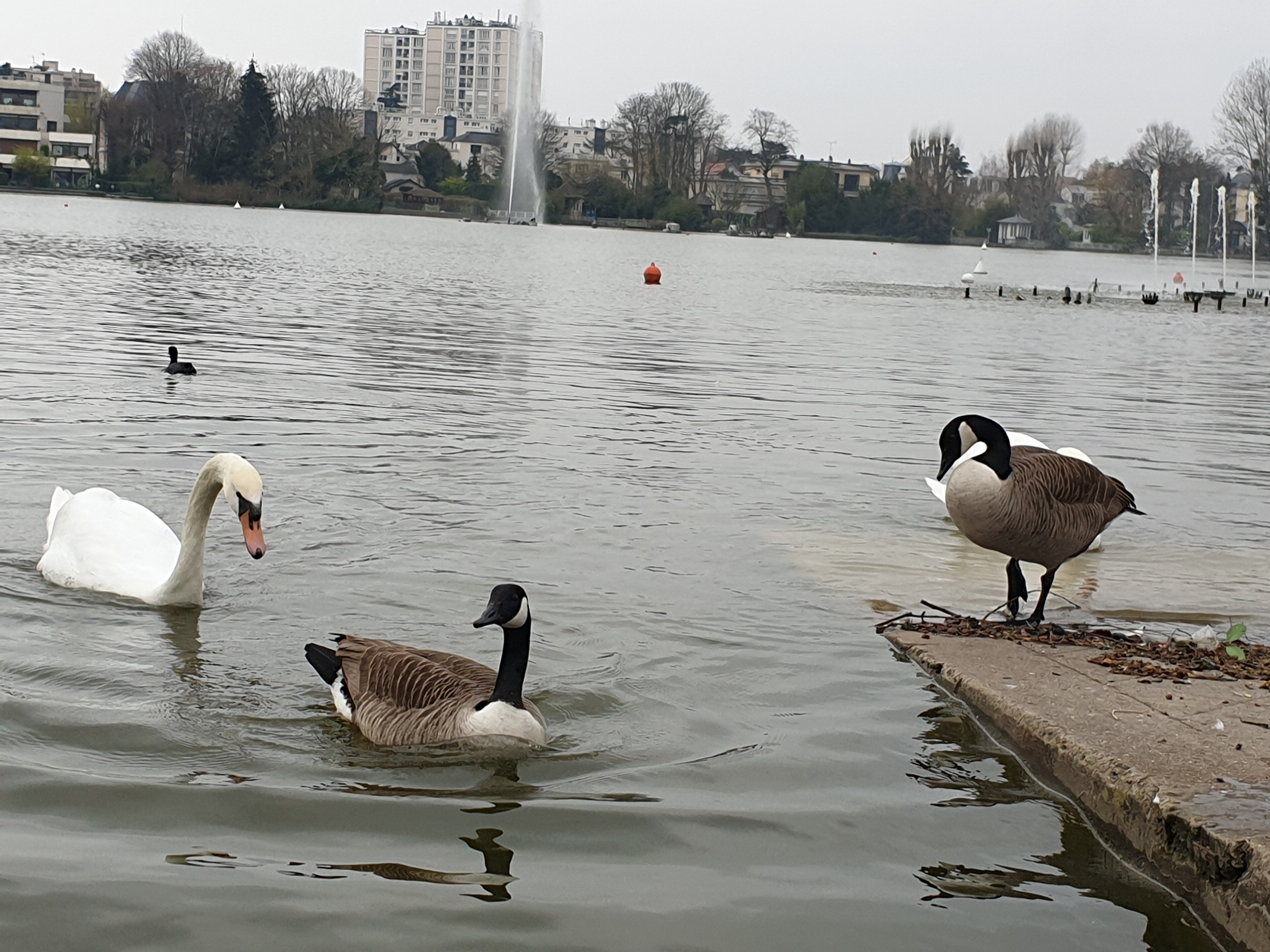 Photo n° 2 de l'avis de anthony.o fait le 25/03/2019 à 08:14
