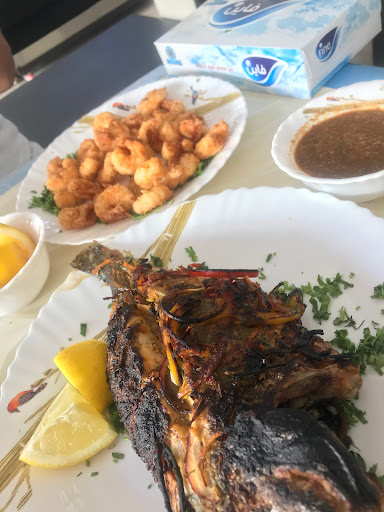 اسماك بحري الأحساء 