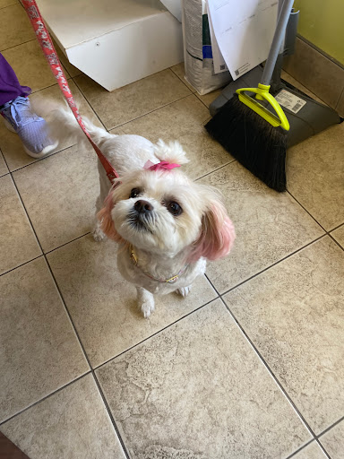 Highland Road Pet Hospital image