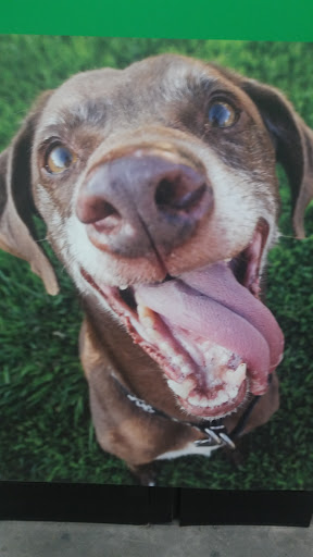 Pet Supply Store «Pet Supplies Plus», reviews and photos, 21703 Village Lakes Shopping Center Dr, Land O Lakes, FL 34639, USA