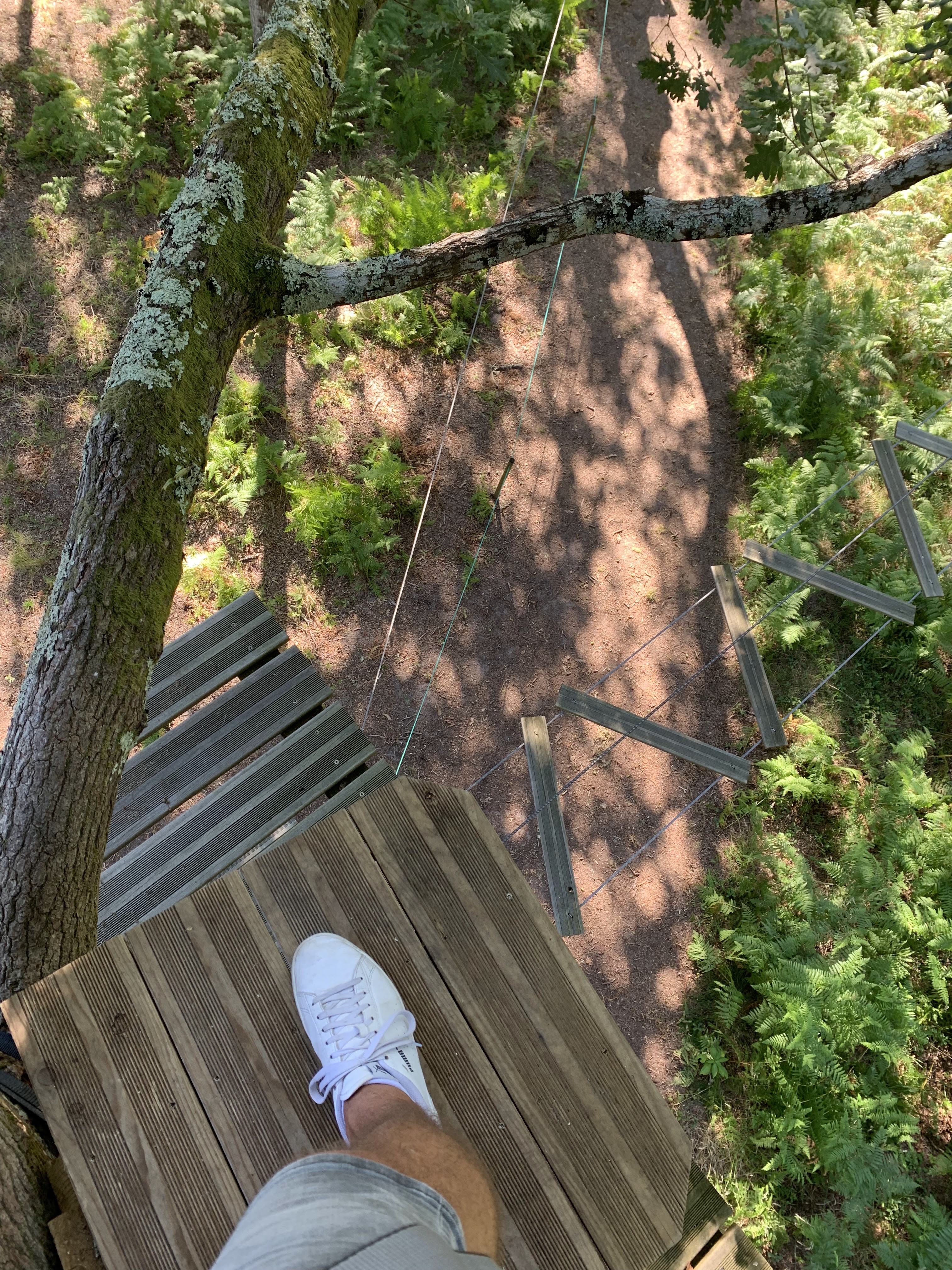 Photo n° 1 de l'avis de Christophe.o fait le 27/08/2019 à 05:00
