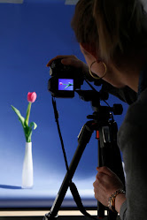 Line and Light Photography Courses