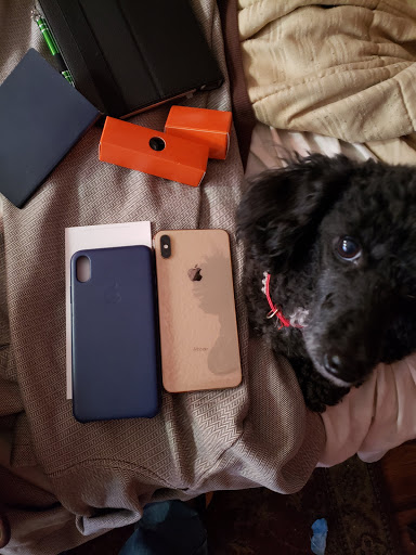 Computer Store «Apple Pasadena», reviews and photos, 54 W Colorado Blvd, Pasadena, CA 91105, USA