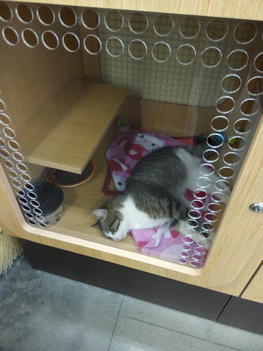 Pet Supply Store «Petco Animal Supplies», reviews and photos, 226 Thornton Drive, Dickson, TN 37055, USA