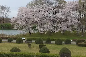Kisogawa Ryokuchi Park image