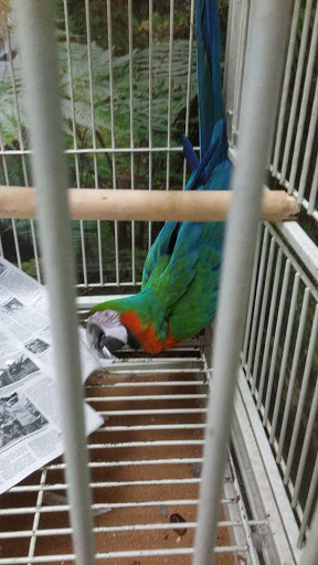 Shopping Mall «Salt Pond Shopping Center», reviews and photos, 91 Point Judith Rd, Narragansett, RI 02882, USA