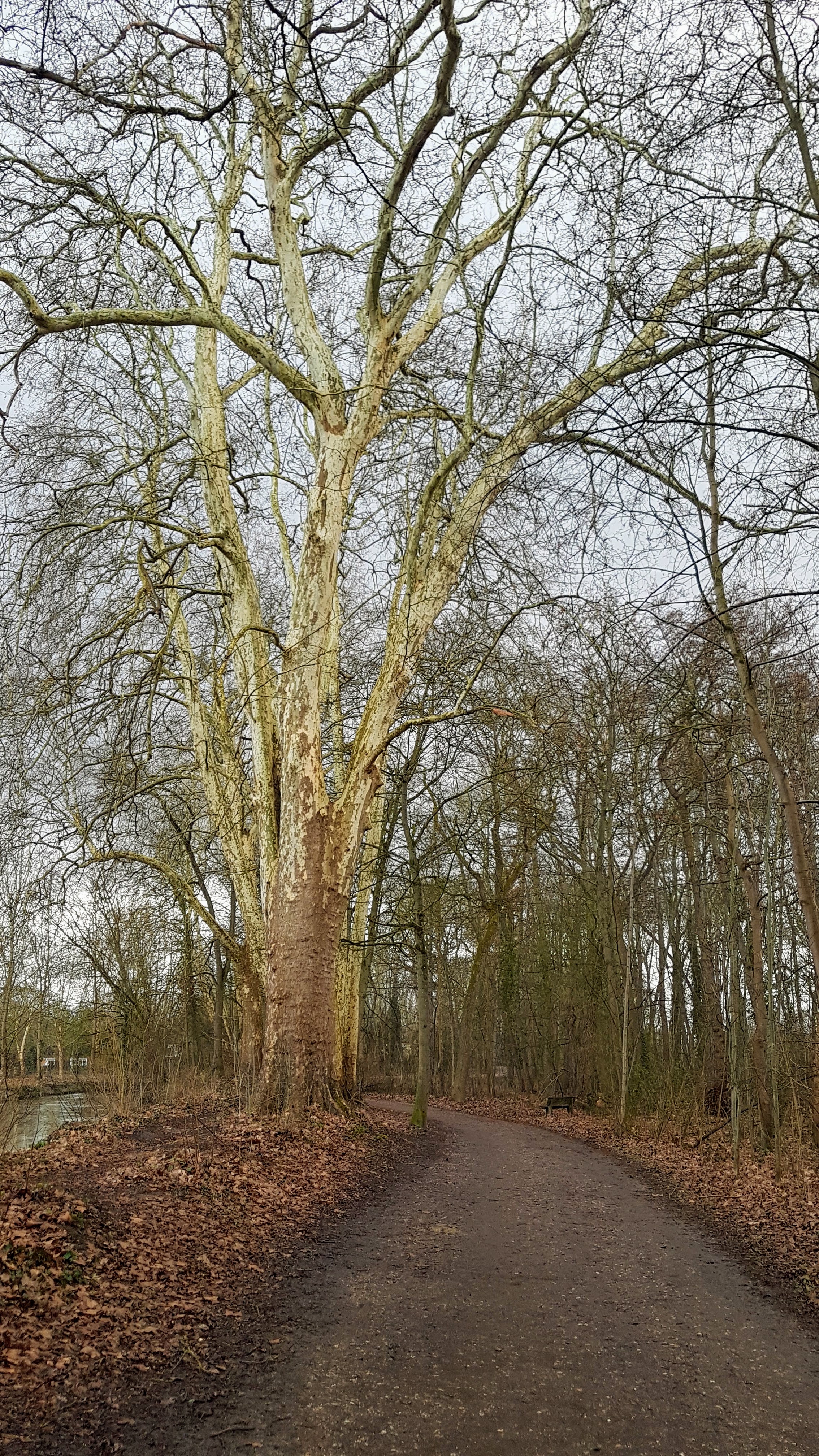 Photo n° 21 de l'avis de Jean-marie.o fait le 06/03/2019 à 12:51