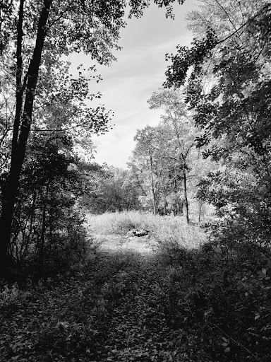 Performing Arts Theater «Richard B. Fisher Center for the Performing Arts», reviews and photos, 60 Manor Ave, Annandale-On-Hudson, NY 12504, USA