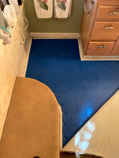 EASY CLEAN CARPET CARE image