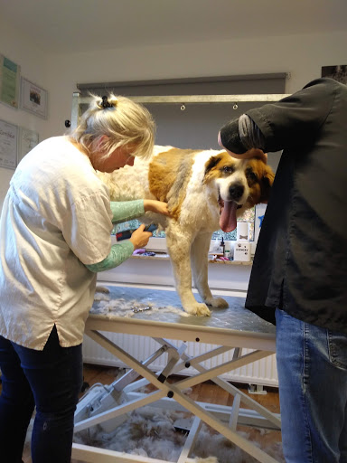 TopDog - Hundesalon unter Barendorf, 