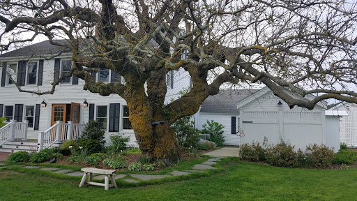 Winery «Truro Vineyards + South Hollow Spirits», reviews and photos, 11 Shore Rd, North Truro, MA 02652, USA