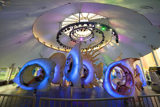 Tourist Attraction «Sussex County Sunflower Maze», reviews and photos, 101 Co Rd 645, Sandyston, NJ 07826, USA