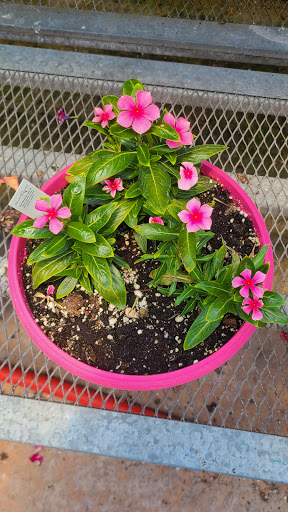 Produce Market «Miller Farms», reviews and photos, 10140 Piscataway Rd, Clinton, MD 20735, USA