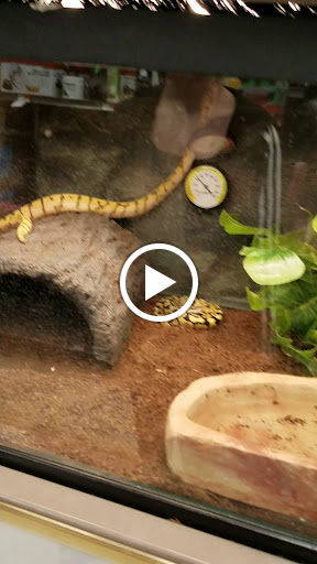 Pet Supply Store «Petco Animal Supplies», reviews and photos, 168 Ames Dr, Barre, VT 05641, USA