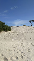 Playa Pinar