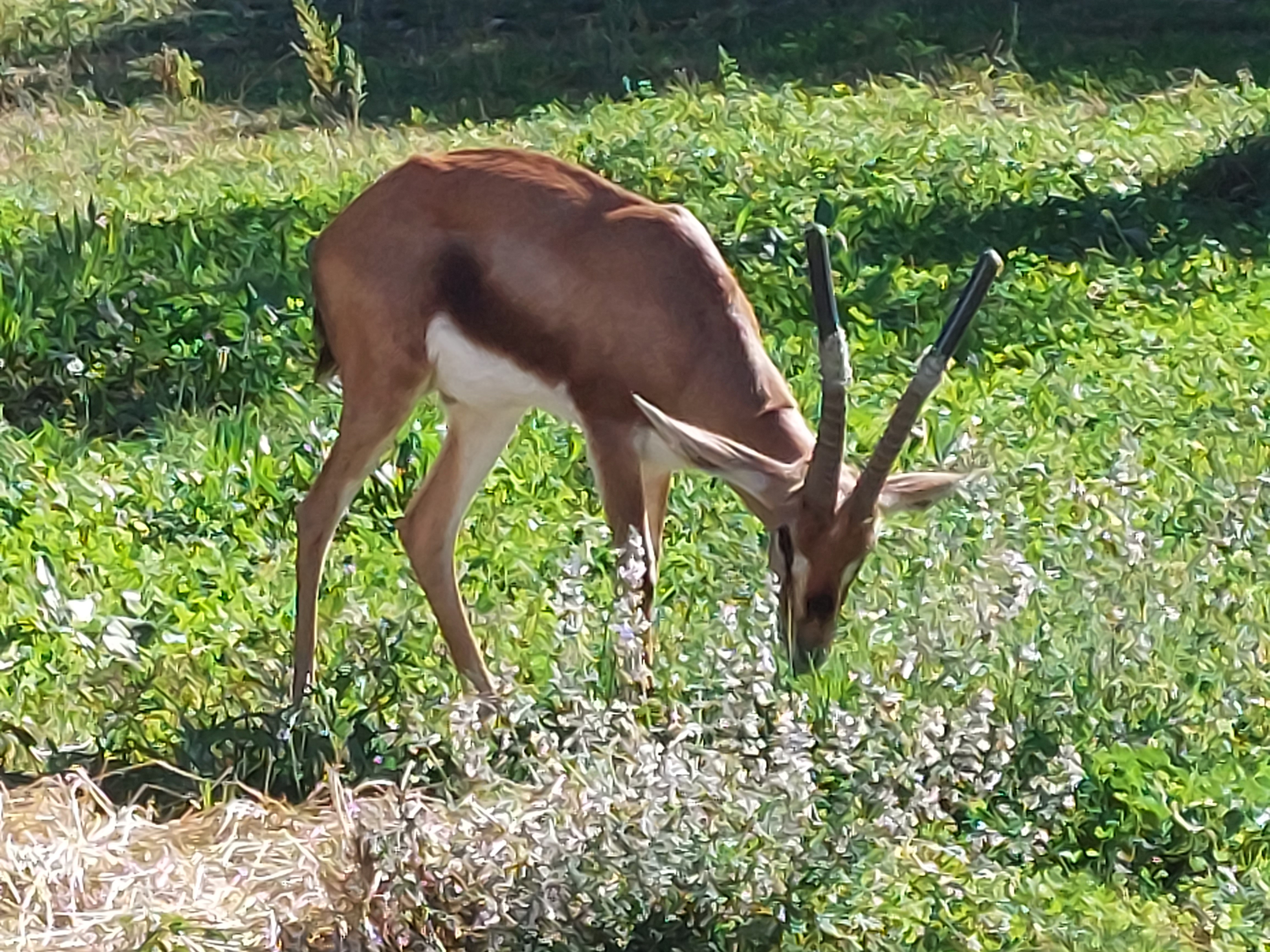 Photo n° 4 de l'avis de M. fait le 18/10/2022 à 14:12