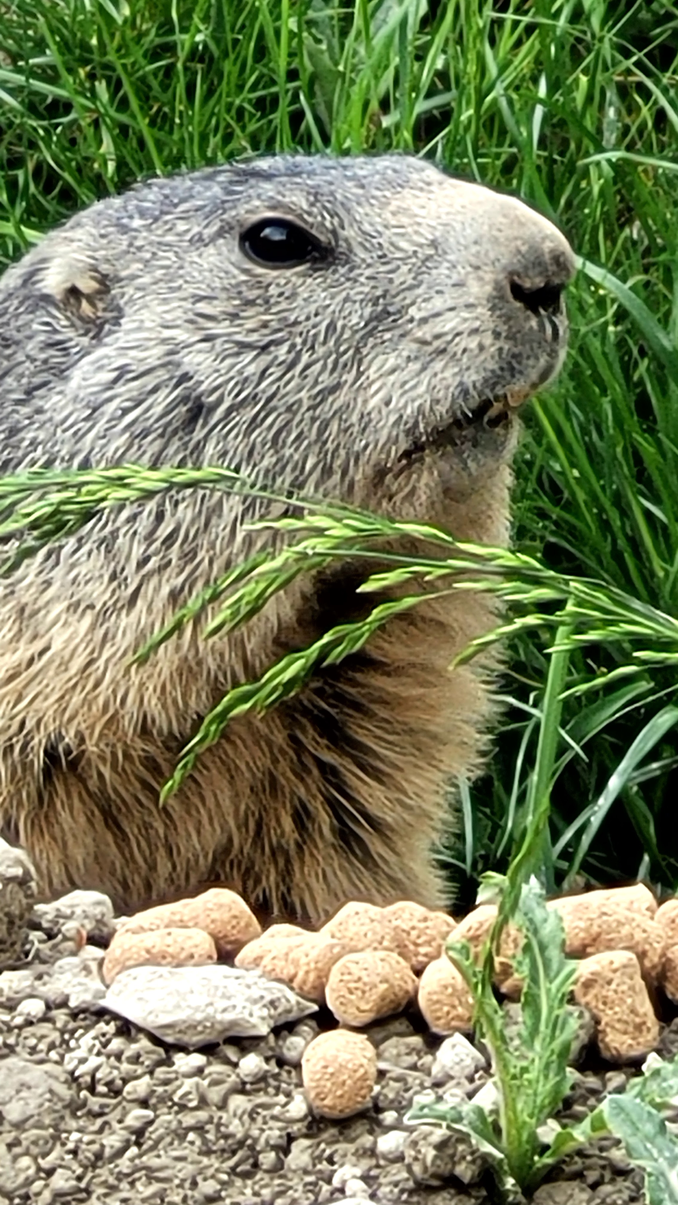 Photo n° 41 de l'avis de PASSIONS.O fait le 24/05/2023 à 09:56