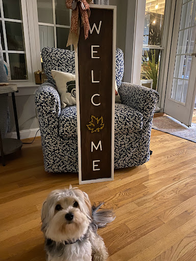 Fabric Store «Jo-Ann Fabrics and Crafts», reviews and photos, 14346 Warwick Blvd #480, Newport News, VA 23602, USA