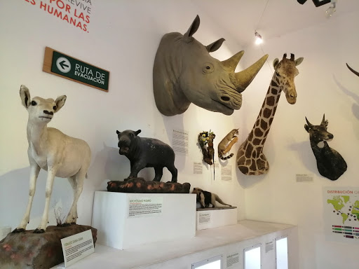 Museo de Historia Natural MUHNA