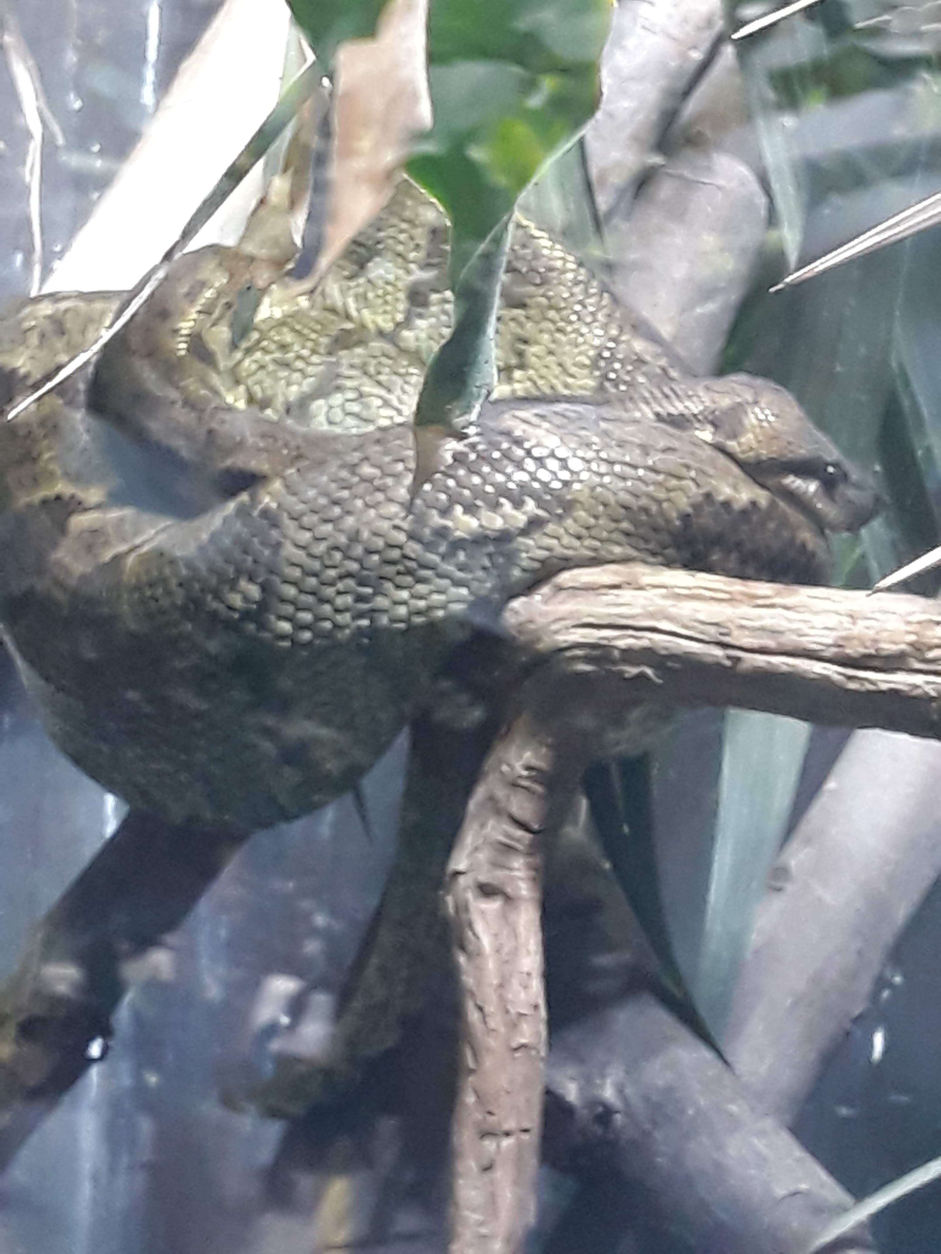 Photo n° 11 de l'avis de Ludo.a fait le 30/08/2021 à 17:15