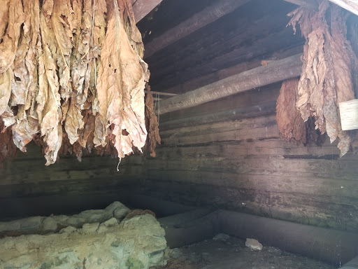 Historical Landmark «Duke Homestead», reviews and photos, 2828 Duke Homestead Rd, Durham, NC 27705, USA