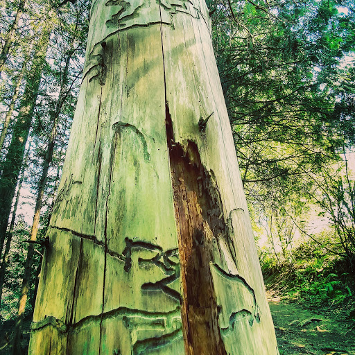 American Football Field «Doc Harris Stadium», reviews and photos, 1125 NE 22nd Ave, Camas, WA 98607, USA