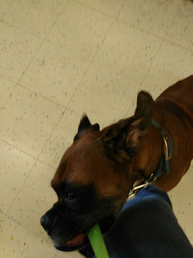 Pet Supply Store «Petco Animal Supplies», reviews and photos, 187 Stonebrook Pl, Jackson, TN 38305, USA