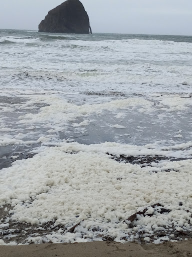 Historical Place «Klondike Gold Rush - Seattle Unit», reviews and photos, 319 2nd Ave S, Seattle, WA 98104, USA