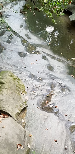 Nature Preserve «Daniel Johnson Nature Preserve», reviews and photos, 1301 Beech Valley Rd NE, Atlanta, GA 30306, USA