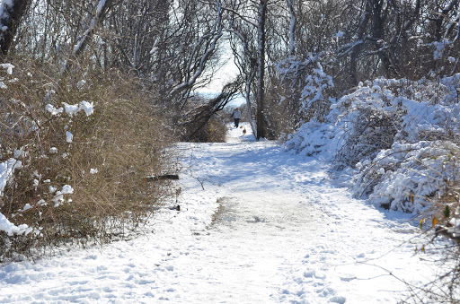 Hiking Area «Black Point Trailhead», reviews and photos, 655 Ocean Rd, Narragansett, RI 02882, USA