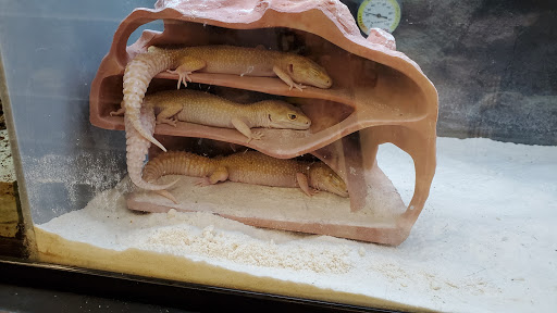 Pet Supply Store «Petco Animal Supplies», reviews and photos, 217 Oak Lee Dr #16, Ranson, WV 25438, USA